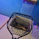 얼빵실내 낚시터 이미지