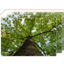 진보골프랜드 이미지