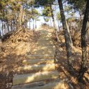 원적산체육공원 이미지