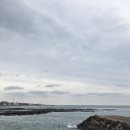 도기키친 프롬제주 | [제주] 구좌 소문난 맛집 평일 2시간 웨이팅 핫플 맛집 "말젯문" 전메뉴 솔직후기