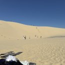 할리농장 | 3일차: 노랑풍선 시드니/포트스테판/뉴캐슬 5박 7일 후기 - 포트스테판 (모래썰매, 돌핀크루즈, 동물농장)