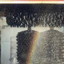 무지개세차장 이미지