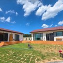 스테이 뮤트 이미지