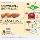 HACCP 특란 60구 무정란 [원산지:국산(경상북도 영주시] 내돈 내산 후기 계란 난각번호 확인하는법