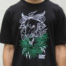 스타장 | BMX 크루 덤프위드 스타장 제작 후기