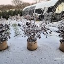 문암농장 이미지