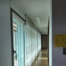 자유민박 이미지