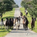 국립축산과학원 난지축산연구소 이미지