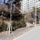 당동배수펌프장 이미지