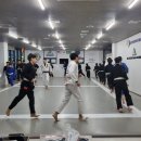 블랙캣주짓수 네이버블로그