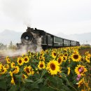 곡성-157 이미지