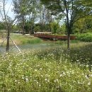 지금동도시공원 | 남양주 당일치기 여행 코스 추천! 산책+카페+맛집까지 총정리