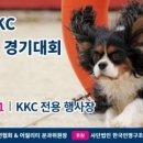 어질리티 네이버블로그