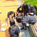 중동초등학교1 이미지