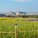 동산파크 이미지