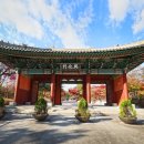 경성중학교 | 여유롭고 한적한 궁궐 산책, 여기가 좋겠네! 경희궁서 즐긴 'K-가을'