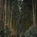 별방진하우스 이미지