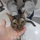 삼화4길 6-1 이미지