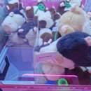 인형뽑기 이미지