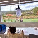 미소농장(생산종류: 고양이) | 대구근교 구미 아이랑 가볼만한곳 추천 할로윈 쿠키 사탕 연의하루 체험 농장 솔직 방문 후기