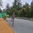 숲의머무룸 이미지