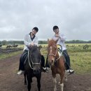 [제주체험] 삼다수승마목장 🐎 - 넓은 초원 위, 말과 함께한 산책의 순간