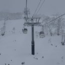 보송보송 타코야끼 | 니세코 유나이티드 니세코 빌리지 후기🏂