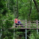 제암산자연휴양림 더늠길 이미지