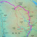 코아주유소 이미지