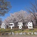 보성자동차정비공업 | 시흥여행 도심 속 숲길 산책 늠내길 5코스 정왕 둘레길 완주 후기