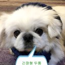 연세오원석신경과의원