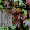 옹드빌라 이미지