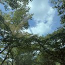 백양사 | 여름 백양사 템플스테이 후기｜무더위 속 진짜 쉼