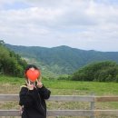 서아목장 이미지