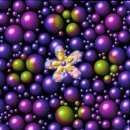 개랑 나들이 이미지