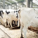 서해목장 이미지