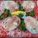 비원쏘가리 이미지