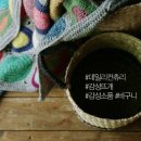 양이컨츄리