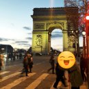 혜령약국 | 엘레나 질유산균 복용해본 찐후기!(필독)