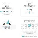 더 레오 핏 이미지