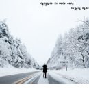 더하얀세상 네이버블로그