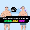 H GYM FITNESS(에이치짐 휘트니스) | [동묘헬스장] 아무리 운동해도 뱃살이 안 빠지는 이유? 복부비만 원인과 해결법