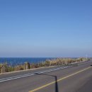 애월 밤별 이미지