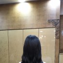 해봄붙임머리 이미지