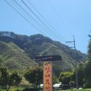 명덕잣나무집 이미지