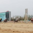 베스트필