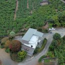 신효동-28 이미지