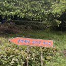 팔룡동500 이미지