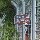 꼬부랑길 이미지