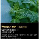 10/23 천연 향초&고체방향제 | 픽스 시그니처 차량용 방향제 XAF-501